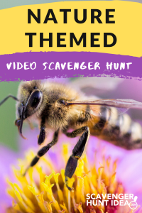 Read more about the article Video Scavenger Hunt with a Nature Theme