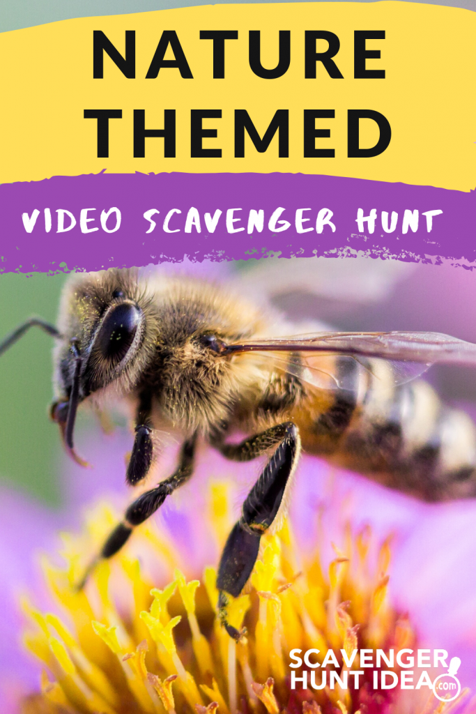 Nature-Themed Video Scavenger Hunt by ScavengerHuntIdea.com