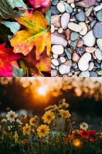 8 nature scavenger hunt ideas